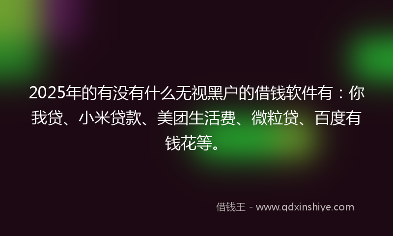 2025年的有没有什么无视黑户的借钱软件有：你我贷、小米贷款、美团生活费、微粒贷、百度有钱花等。