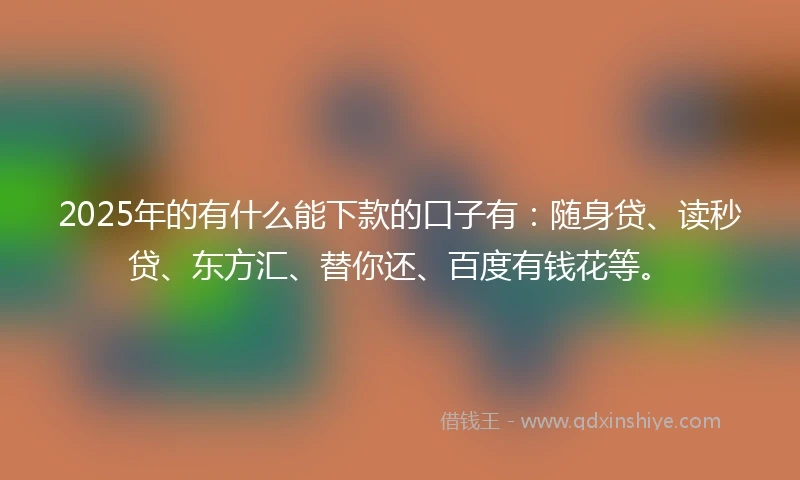 2025年的有什么能下款的口子有:随身贷、读秒贷、东方汇、替你还、百度有钱花等。