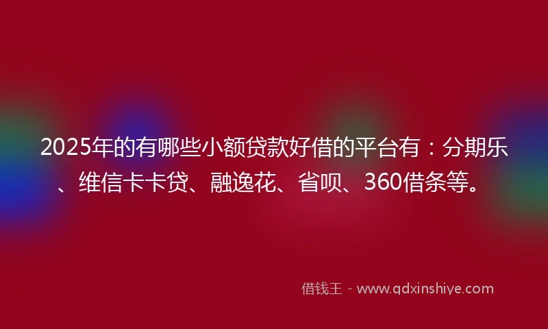 2025年的有哪些小额贷款好借的平台有：分期乐、维信卡卡贷、融逸花、省呗、360借条等。