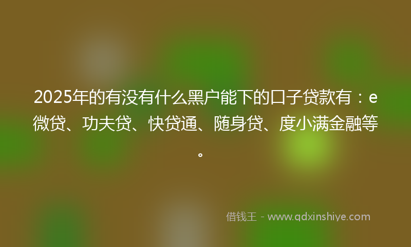2025年的有没有什么黑户能下的口子贷款有：e微贷、功夫贷、快贷通、随身贷、度小满金融等。