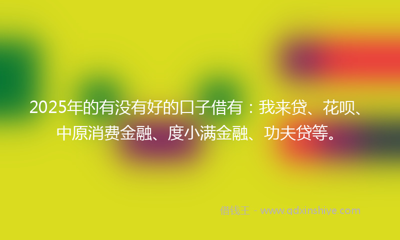 2025年的有没有好的口子借有：我来贷、花呗、中原消费金融、度小满金融、功夫贷等。