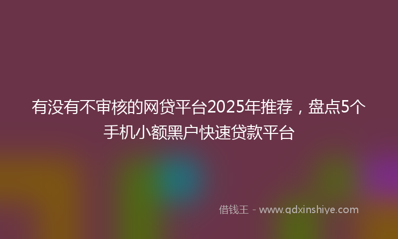 有没有不审核的网贷平台2025年推荐，盘点5个手机小额黑户快速贷款平台