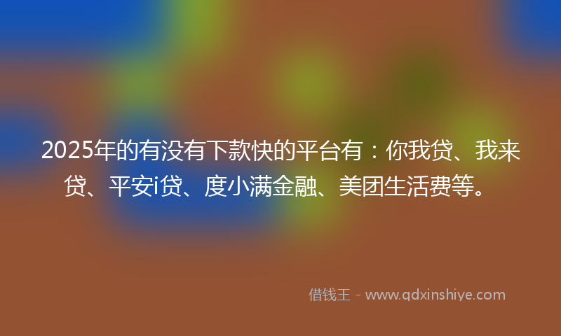 2025年的有没有下款快的平台有：你我贷、我来贷、平安i贷、度小满金融、美团生活费等。