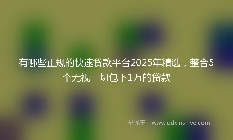 有哪些正规的快速贷款平台2025年精选，整合5个无视一切包下1万的贷款