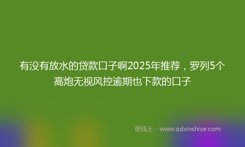 有没有放水的贷款口子啊2025年推荐，罗列5个高炮无视风控逾期也下款的口子
