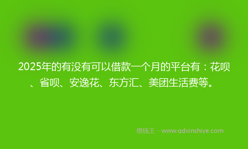 2025年的有没有可以借款一个月的平台有：花呗、省呗、安逸花、东方汇、美团生活费等。
