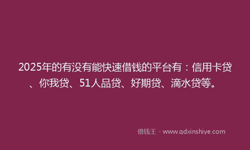 2025年的有没有能快速借钱的平台有：信用卡贷、你我贷、51人品贷、好期贷、滴水贷等。