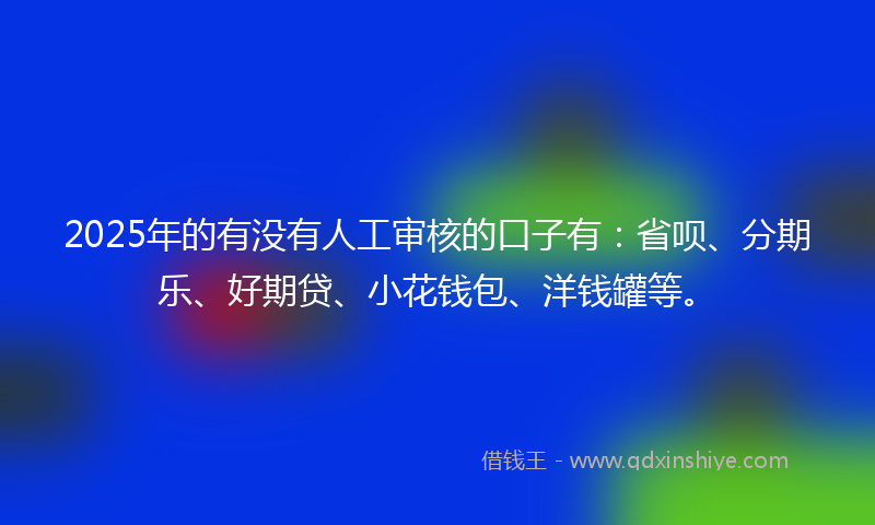 2025年的有没有人工审核的口子有：省呗、分期乐、好期贷、小花钱包、洋钱罐等。