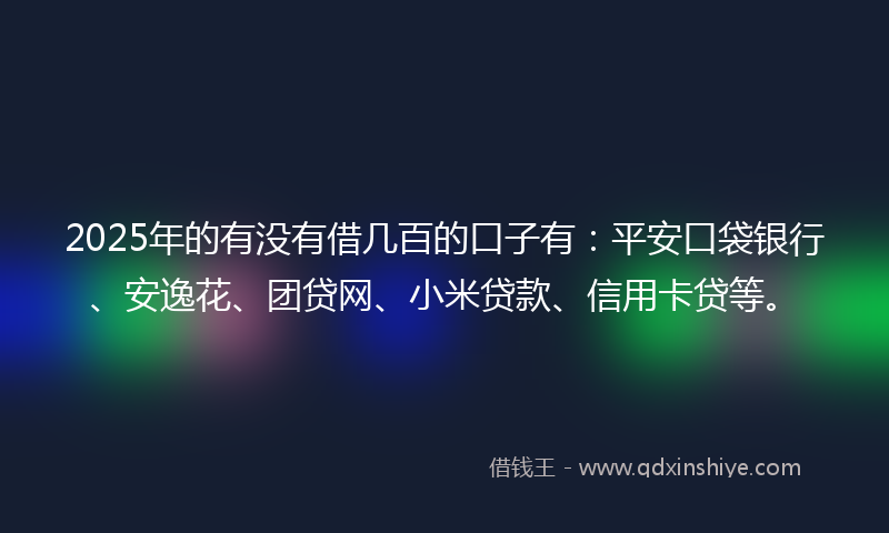 2025年的有没有借几百的口子有：平安口袋银行、安逸花、团贷网、小米贷款、信用卡贷等。