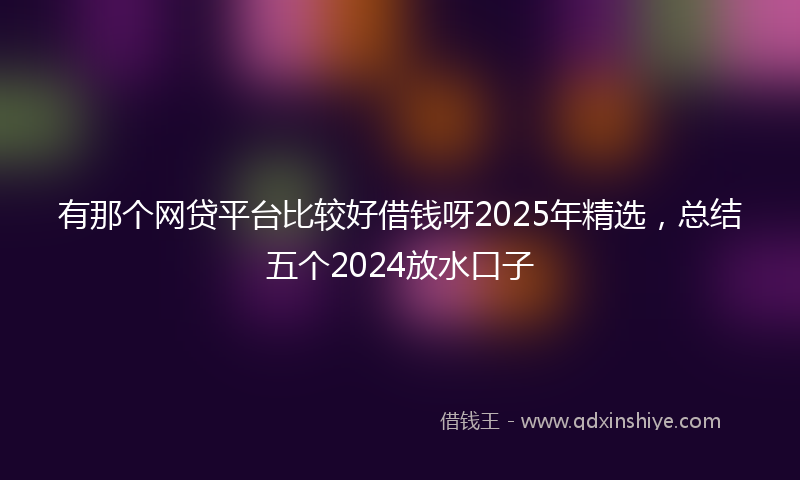 有那个网贷平台比较好借钱呀2025年精选，总结五个2024放水口子