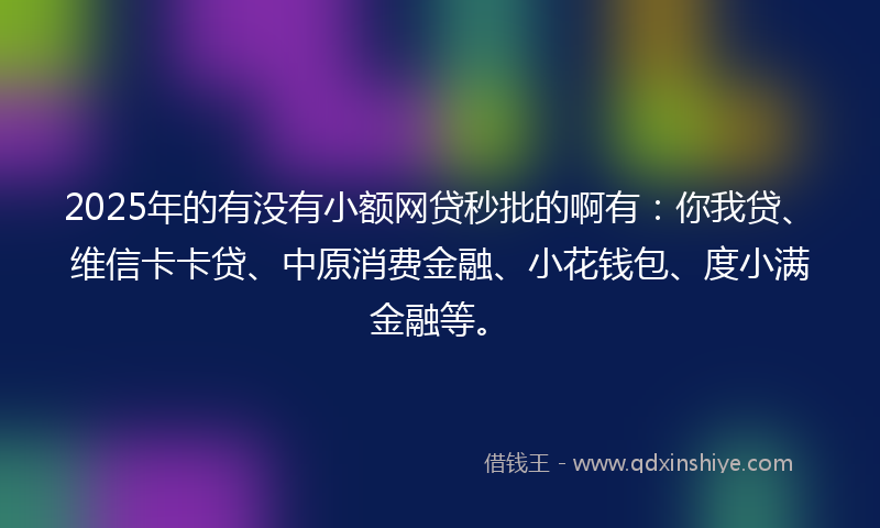 2025年的有没有小额网贷秒批的啊有：你我贷、维信卡卡贷、中原消费金融、小花钱包、度小满金融等。