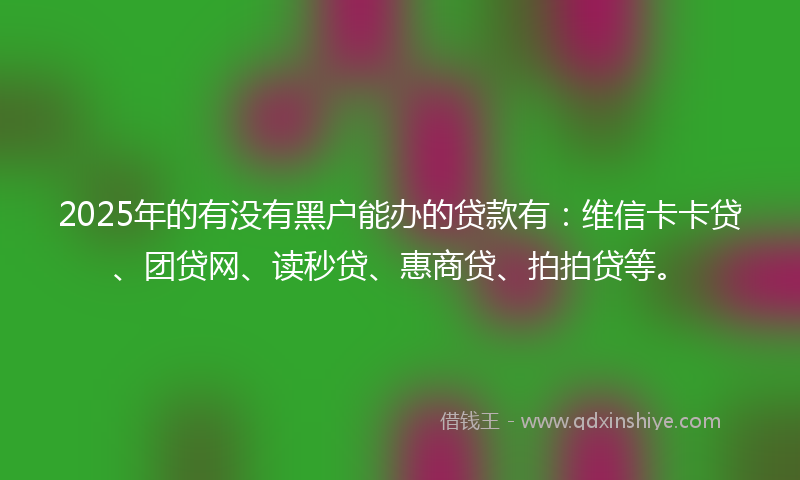 2025年的有没有黑户能办的贷款有：维信卡卡贷、团贷网、读秒贷、惠商贷、拍拍贷等。