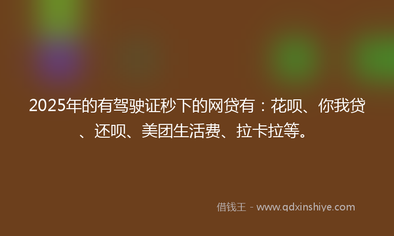 2025年的有驾驶证秒下的网贷有：花呗、你我贷、还呗、美团生活费、拉卡拉等。