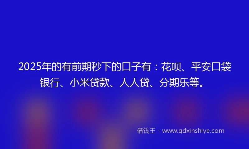 2025年的有前期秒下的口子有：花呗、平安口袋银行、小米贷款、人人贷、分期乐等。