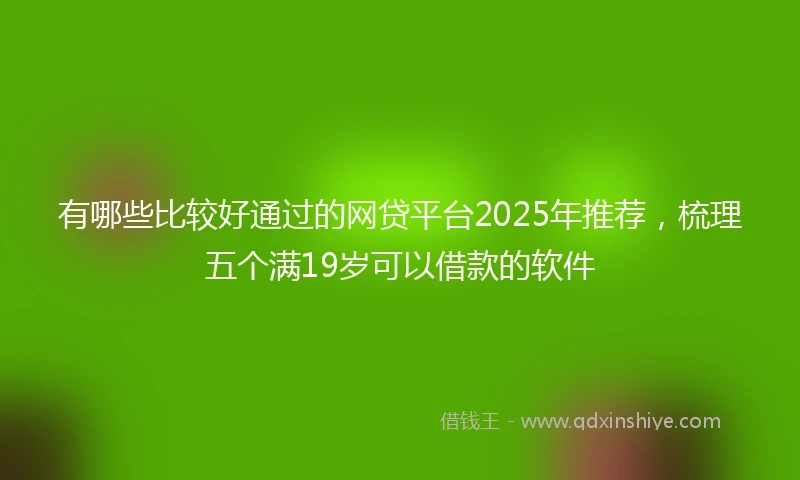 有哪些比较好通过的网贷平台2025年推荐,梳理五个满19岁可以借款的软件