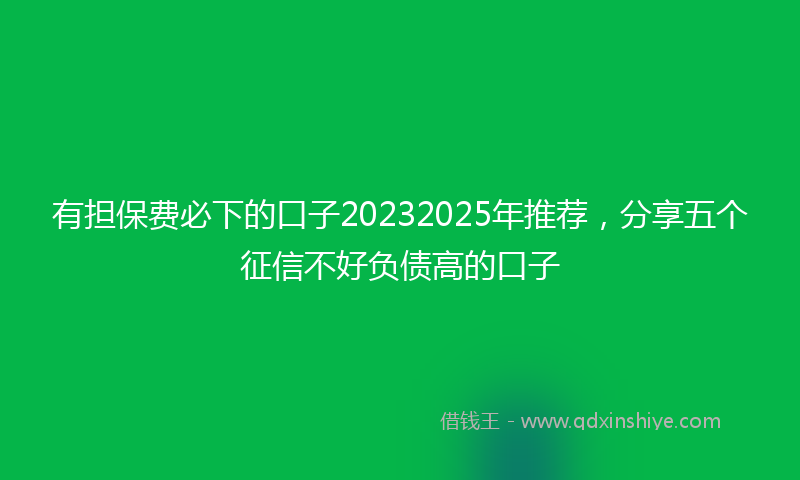 有担保费必下的口子20232025年推荐，分享五个征信不好负债高的口子