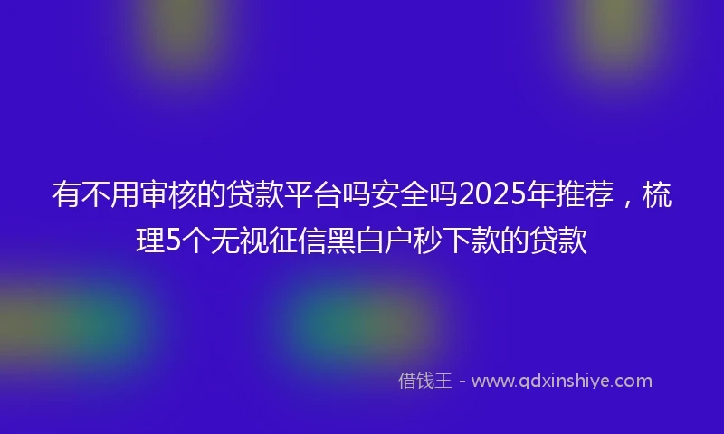 有不用审核的贷款平台吗安全吗2025年推荐，梳理5个无视征信黑白户秒下款的贷款