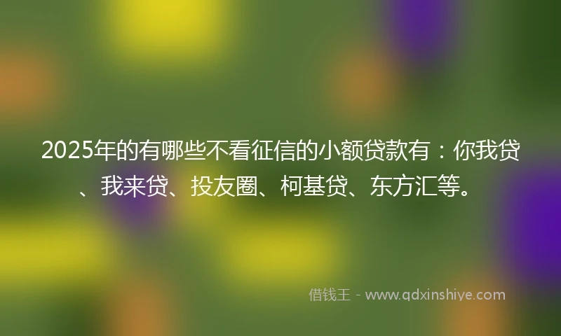 2025年的有哪些不看征信的小额贷款有：你我贷、我来贷、投友圈、柯基贷、东方汇等。