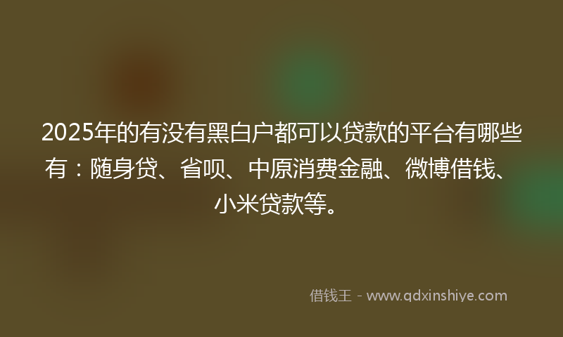 2025年的有没有黑白户都可以贷款的平台有哪些有：随身贷、省呗、中原消费金融、微博借钱、小米贷款等。