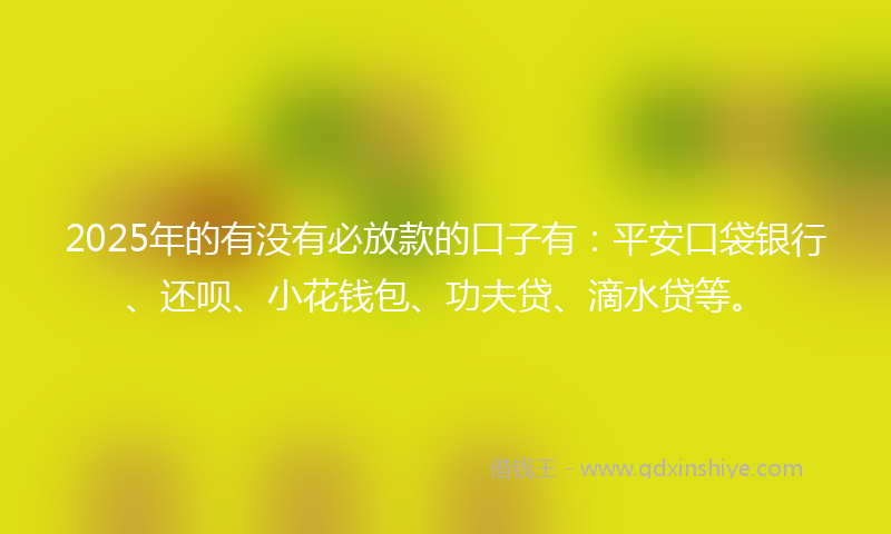 2025年的有没有必放款的口子有：平安口袋银行、还呗、小花钱包、功夫贷、滴水贷等。