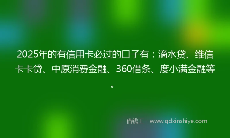 2025年的有信用卡必过的口子有：滴水贷、维信卡卡贷、中原消费金融、360借条、度小满金融等。