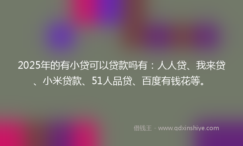 2025年的有小贷可以贷款吗有:人人贷、我来贷、小米贷款、51人品贷、百度有钱花等。