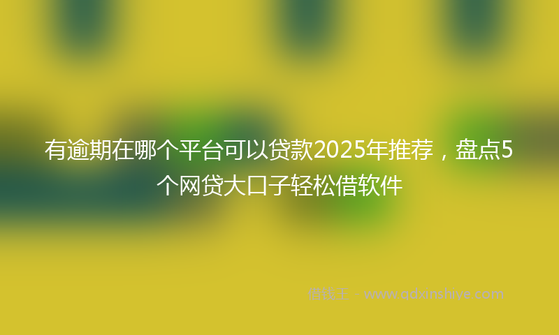 有逾期在哪个平台可以贷款2025年推荐，盘点5个网贷大口子轻松借软件