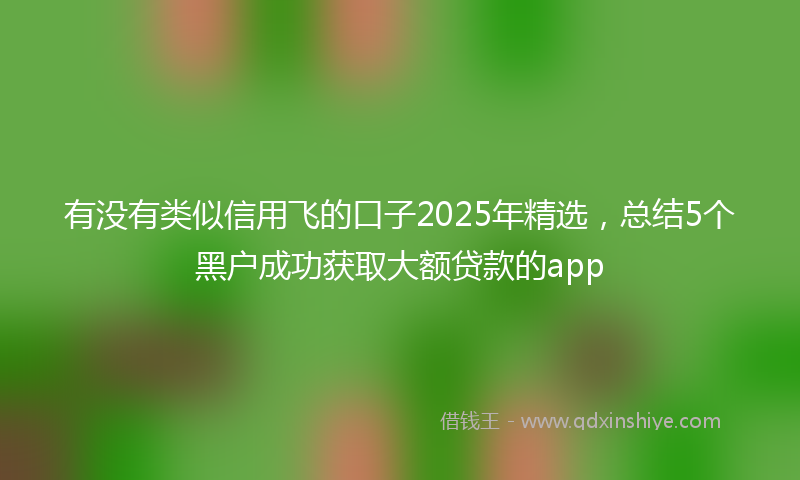 有没有类似信用飞的口子2025年精选，总结5个黑户成功获取大额贷款的app