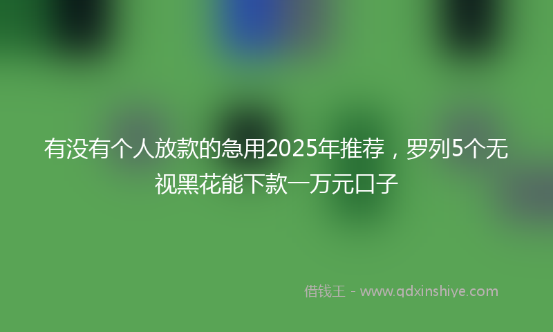 有没有个人放款的急用2025年推荐，罗列5个无视黑花能下款一万元口子