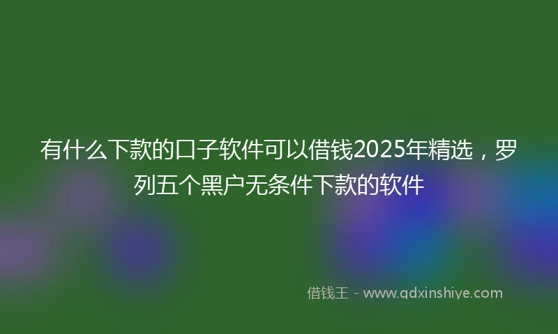 有什么下款的口子软件可以借钱2025年精选，罗列五个黑户无条件下款的软件