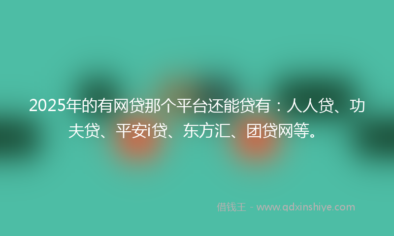 2025年的有网贷那个平台还能贷有：人人贷、功夫贷、平安i贷、东方汇、团贷网等。