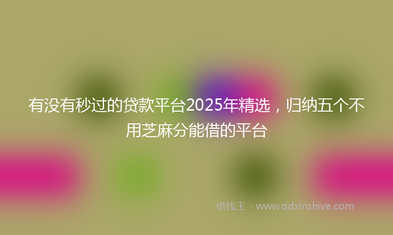 有没有秒过的贷款平台2025年精选，归纳五个不用芝麻分能借的平台
