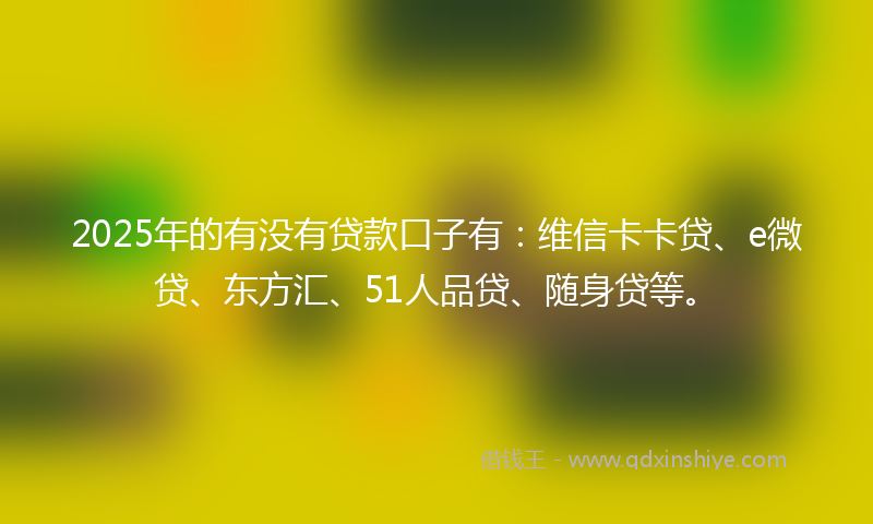 2025年的有没有贷款口子有：维信卡卡贷、e微贷、东方汇、51人品贷、随身贷等。