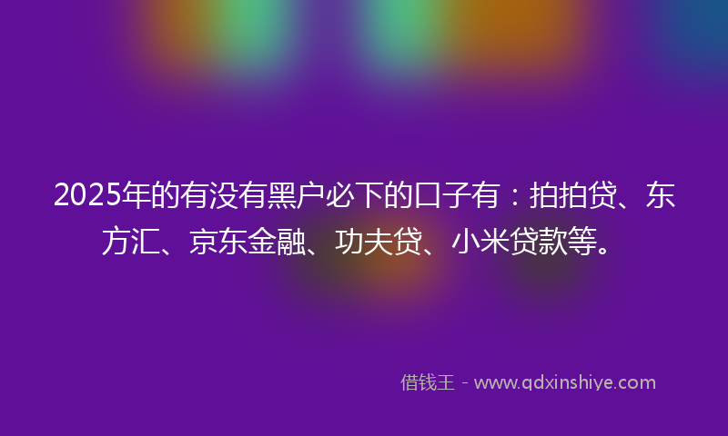 2025年的有没有黑户必下的口子有：拍拍贷、东方汇、京东金融、功夫贷、小米贷款等。