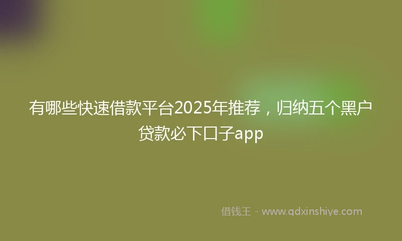 有哪些快速借款平台2025年推荐，归纳五个黑户贷款必下口子app