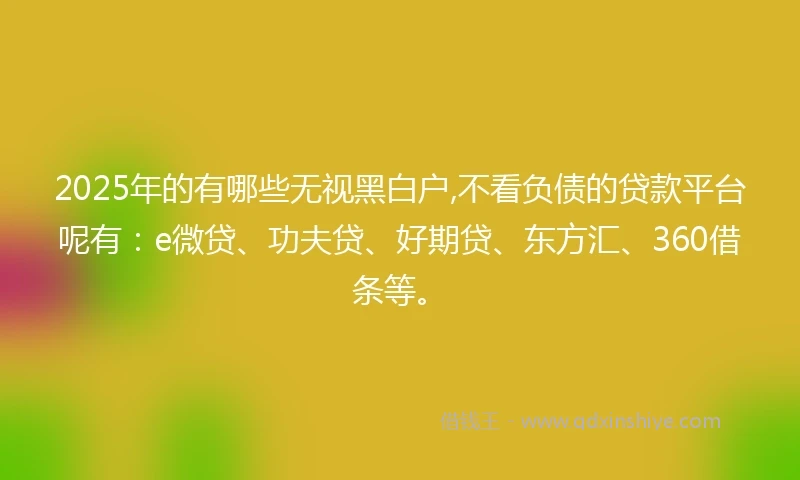 2025年的有哪些无视黑白户,不看负债的贷款平台呢有：e微贷、功夫贷、好期贷、东方汇、360借条等。