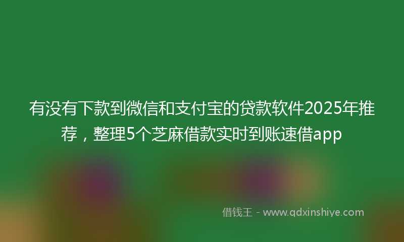 有没有下款到微信和支付宝的贷款软件2025年推荐，整理5个芝麻借款实时到账速借app