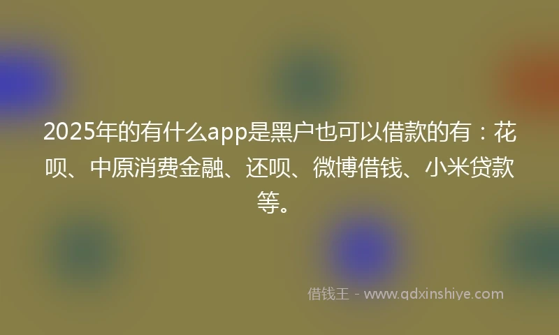 2025年的有什么app是黑户也可以借款的有：花呗、中原消费金融、还呗、微博借钱、小米贷款等。