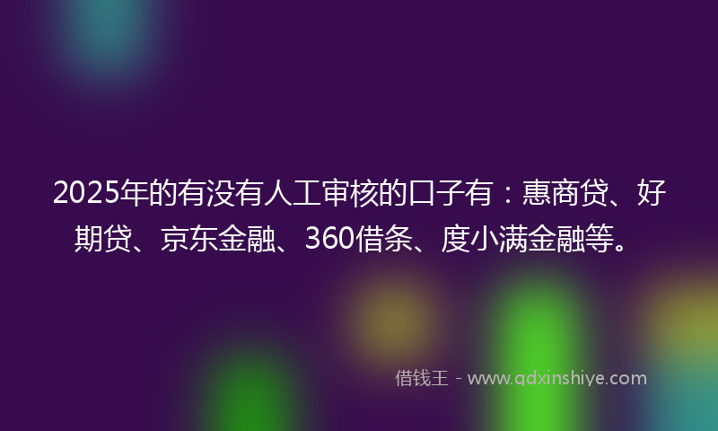 2025年的有没有人工审核的口子有：惠商贷、好期贷、京东金融、360借条、度小满金融等。