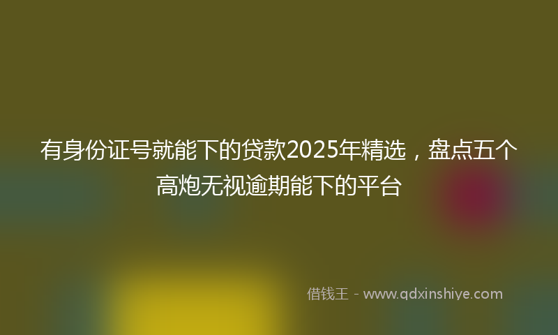 有身份证号就能下的贷款2025年精选，盘点五个高炮无视逾期能下的平台