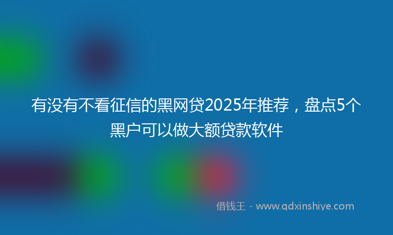 有没有不看征信的黑网贷2025年推荐，盘点5个黑户可以做大额贷款软件