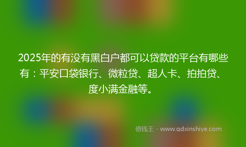 2025年的有没有黑白户都可以贷款的平台有哪些有：平安口袋银行、微粒贷、超人卡、拍拍贷、度小满金融等。