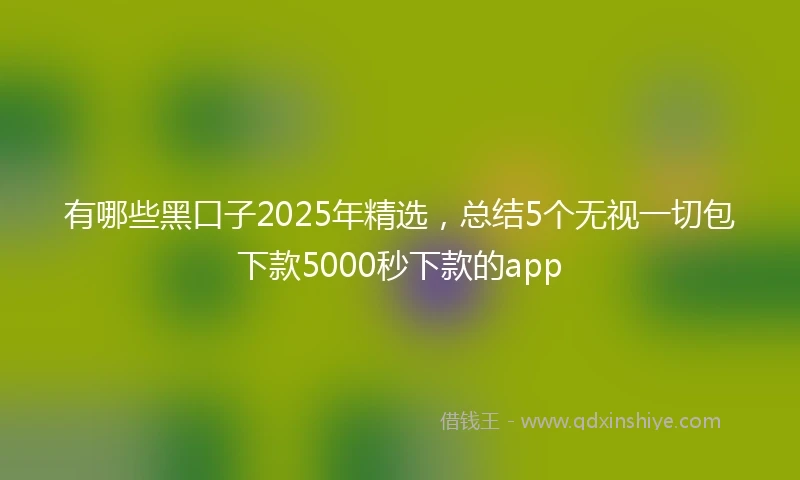 有哪些黑口子2025年精选，总结5个无视一切包下款5000秒下款的app