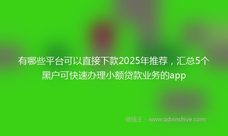 有哪些平台可以直接下款2025年推荐，汇总5个黑户可快速办理小额贷款业务的app