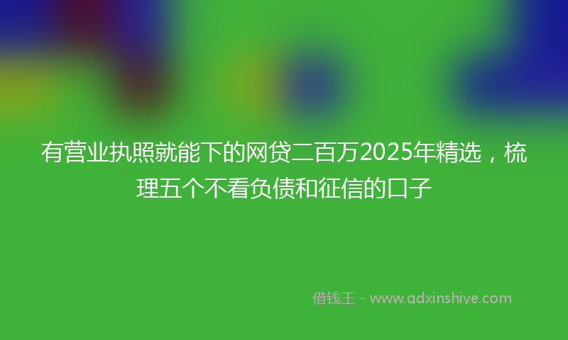 有营业执照就能下的网贷二百万2025年精选，梳理五个不看负债和征信的口子