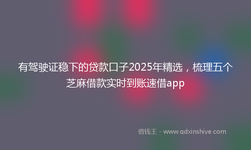 有驾驶证稳下的贷款口子2025年精选，梳理五个芝麻借款实时到账速借app