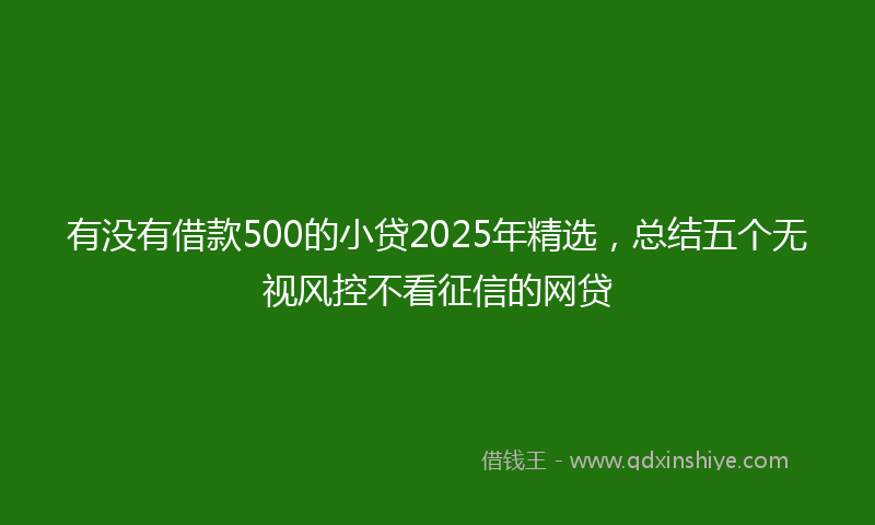 有没有借款500的小贷2025年精选，总结五个无视风控不看征信的网贷