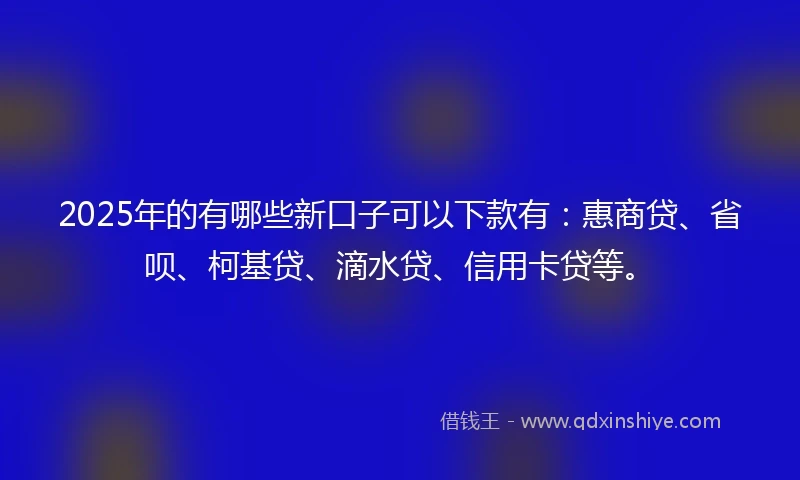 2025年的有哪些新口子可以下款有：惠商贷、省呗、柯基贷、滴水贷、信用卡贷等。