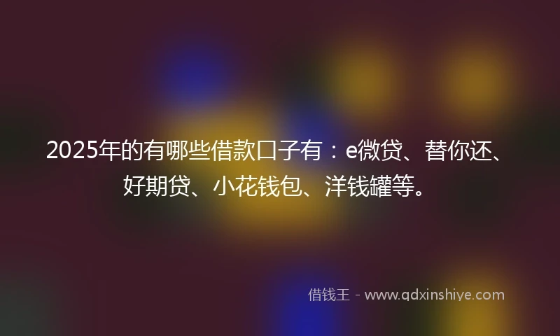 2025年的有哪些借款口子有：e微贷、替你还、好期贷、小花钱包、洋钱罐等。