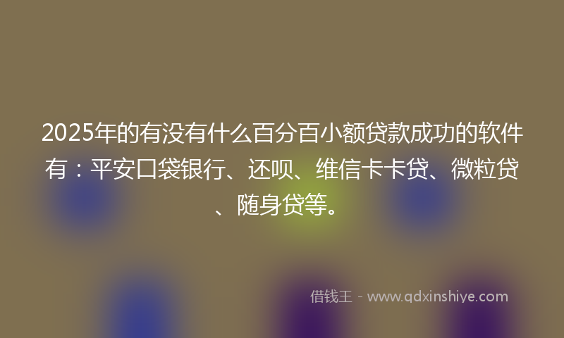 2025年的有没有什么百分百小额贷款成功的软件有：平安口袋银行、还呗、维信卡卡贷、微粒贷、随身贷等。